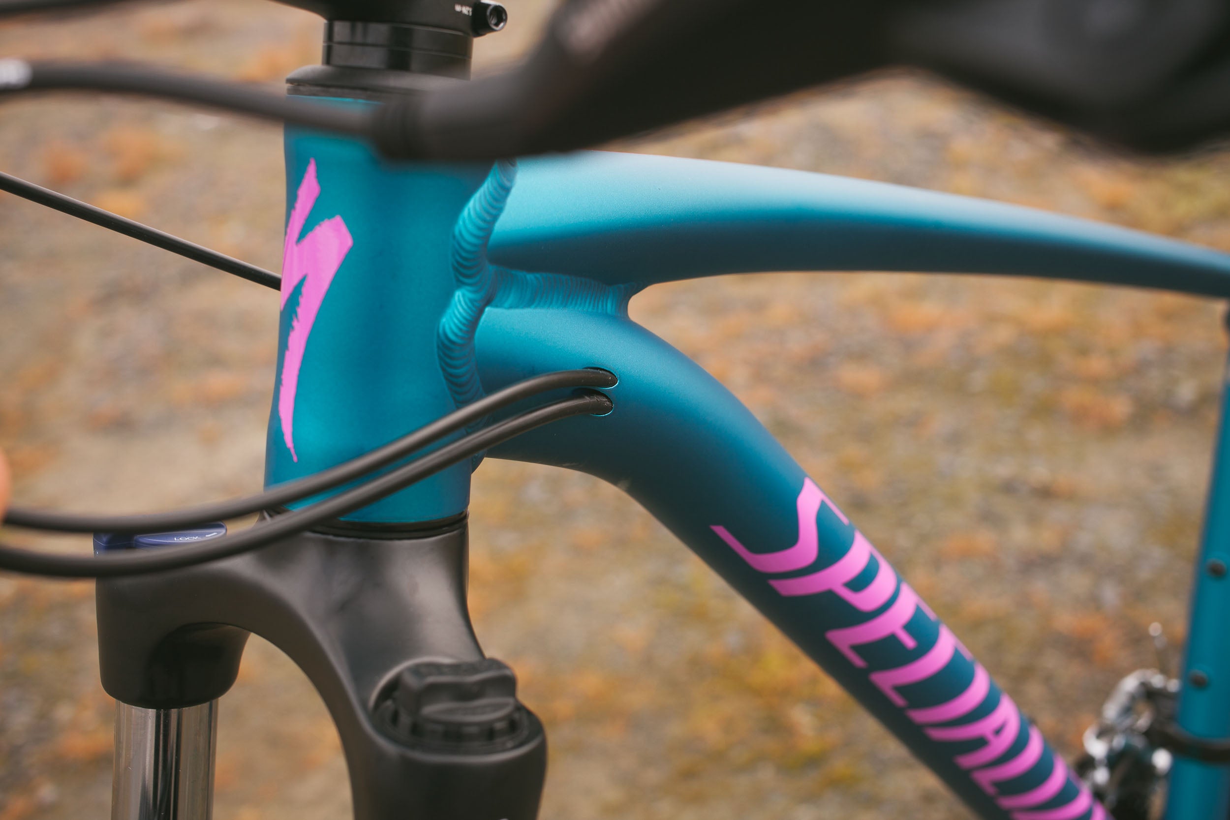 Specialized rockhopper best sale pro 2x 2019