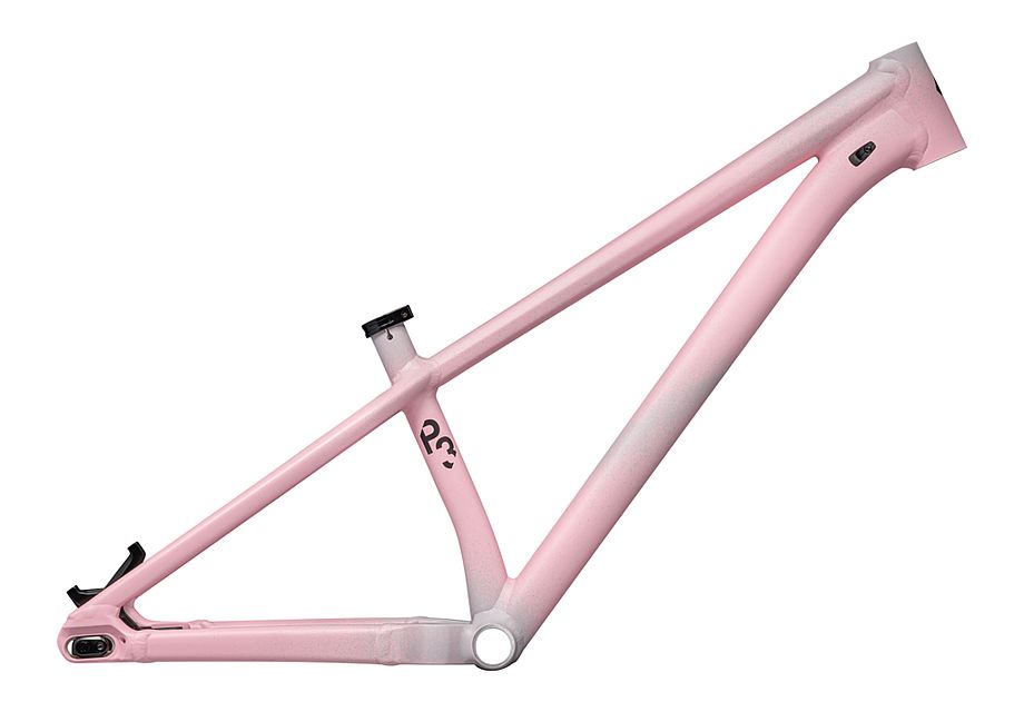 Specialized P.3 Frame